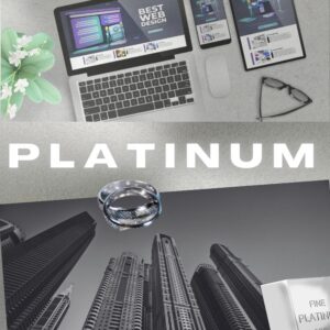 Webdesign Platinum